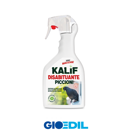 DISABITUANTE PICCIONI KALIF