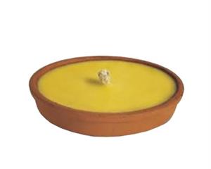 CITRONELLA TERRACOTTA CM.12