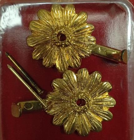 GERBERA ORO