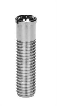 VITE PER PILETTA BASKET