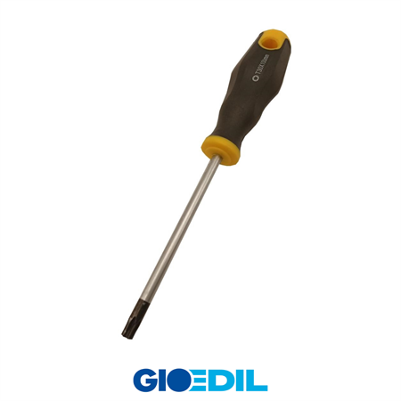 GIRAVITE TORX ANFER T10X92