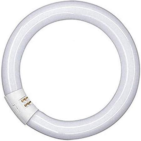 NEON CIRCOLARE 22 W