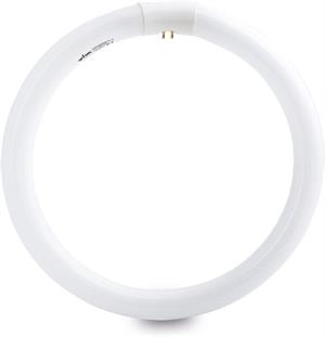 NEON CIRCOLARE 32W 6500k