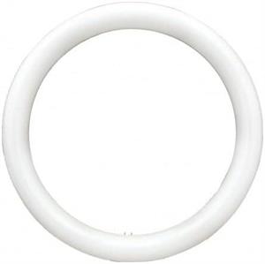 NEON CIRCOLARE LED 20W 4000k