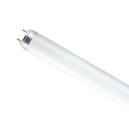 NEON CM 30 15W