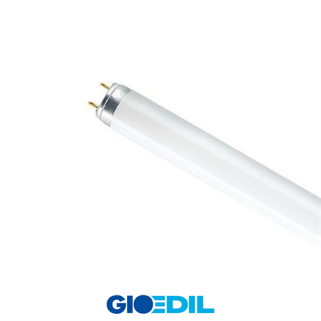 NEON CM 30 15W