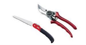 SET SEGHETTO TURBO+FCE VIGNA