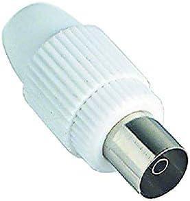 SPINA COASSIALE TV FEMMINA