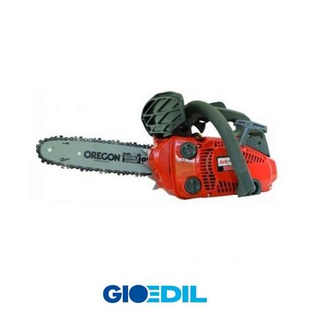 MOTOSEGA A CATENA TOP GARDEN 25.4 CM3